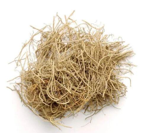 細辛(北細辛) ASARI RADIX ET RHIZOMA