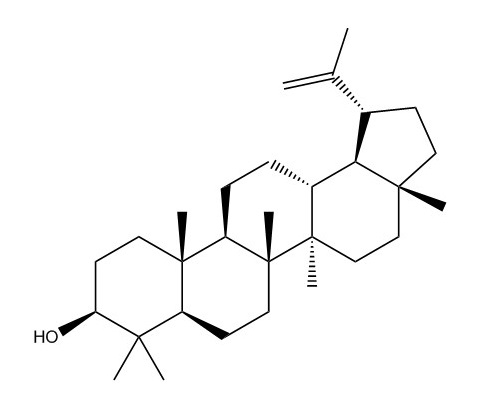 羽扇豆醇|545-47-1