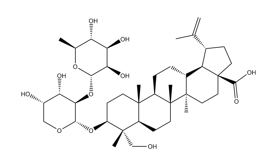 白頭翁皂苷A3|129724-84-1
